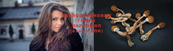 герыч Богданович