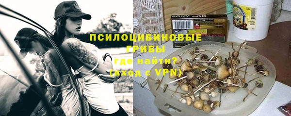 скорость Бородино