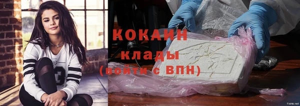 ECSTASY Богородицк