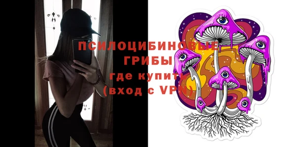 скорость Бородино
