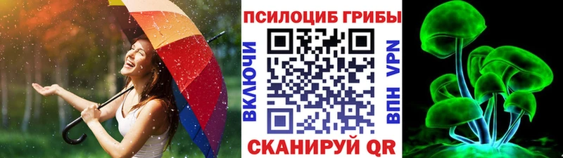 Галлюциногенные грибы Psilocybine cubensis где купить наркоту Горячий Ключ